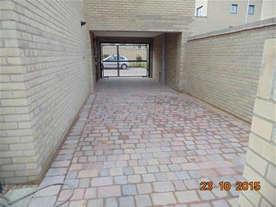 Picture 12